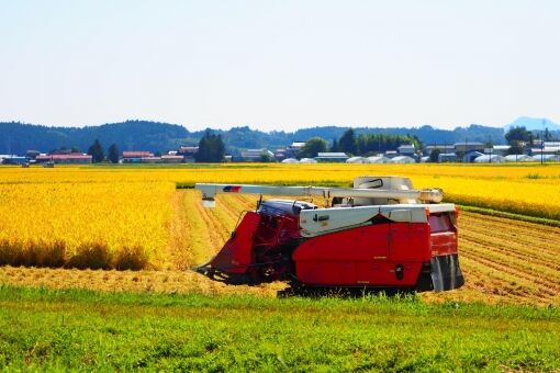 c29eee6707c264671c1dee9970011a7e_t