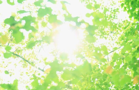 広島で農機具の買取・販売なら、あぐり家へ！ヤンマーのトラクターも対応しております！